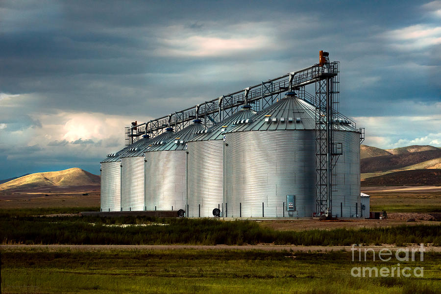 Five Silos on the Plains of the Texas Panhandle Photograph by Mary Jane Armstrong