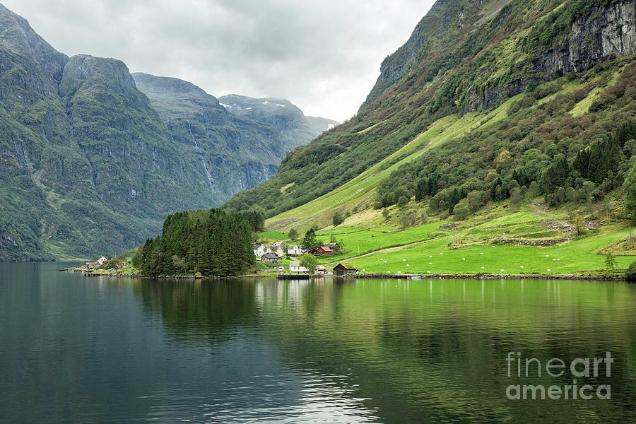 Fjords Of Norway 5 Photograph by Timothy Hacker
