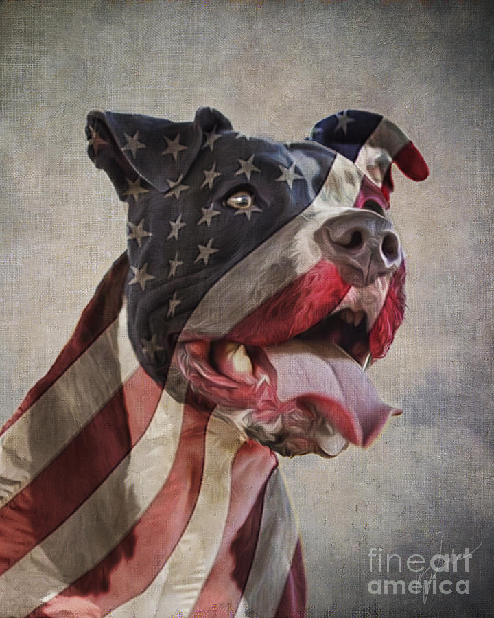 Flag Dog Digital Art by Tim Wemple