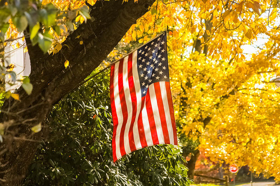 Flag in Fall Photograph by Kathleen McGinley