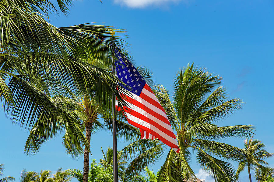 Flag in the Palms Photograph by Jason Hughes
