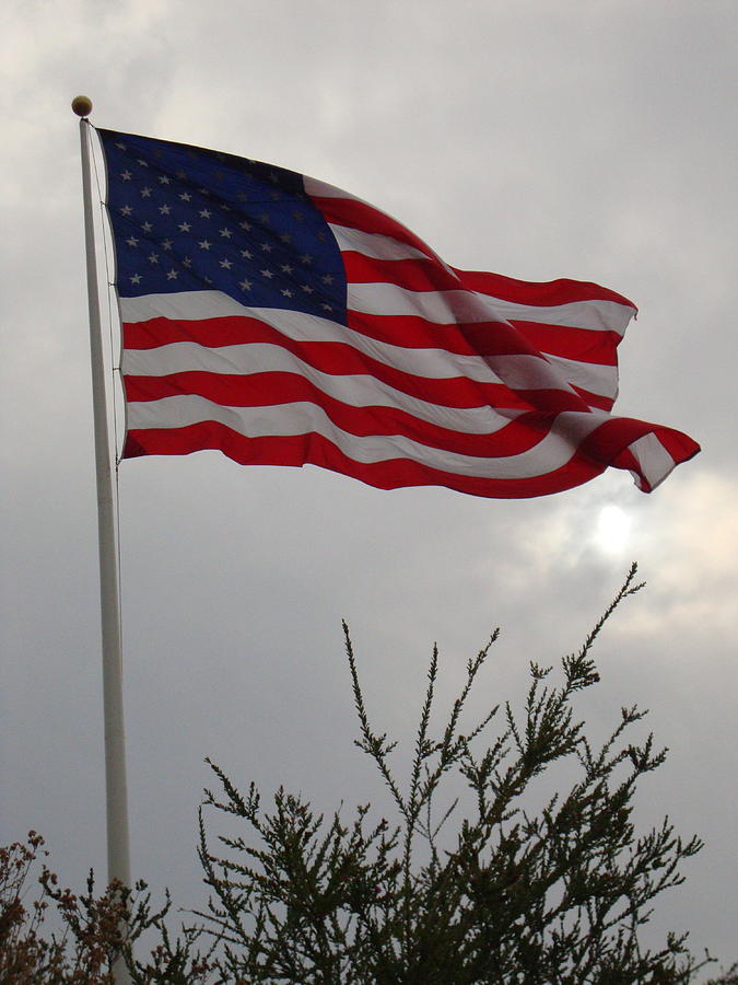 Flag in the Storm Digital Art by Wendy Housholder - Pixels