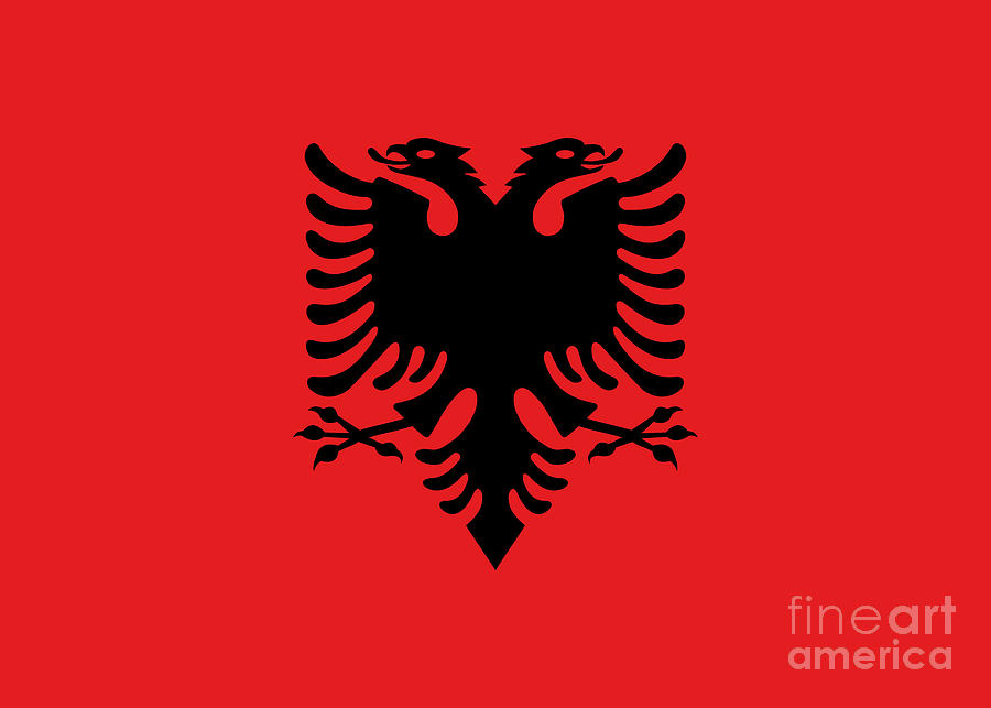 Albanian Flag of Albania  Digital Art by Sterling Gold