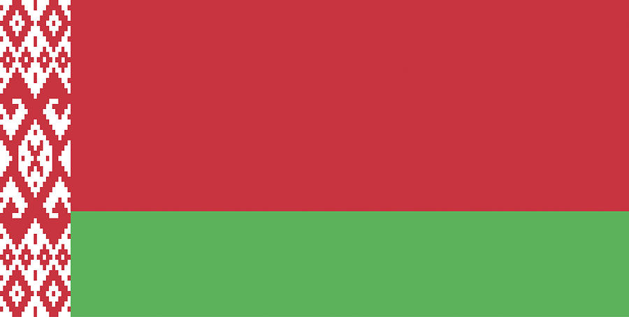 Flag of Belarus Digital Art by Roy Pedersen