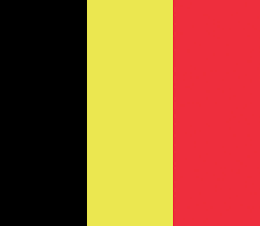 Flag of Belgium Digital Art by Roy Pedersen