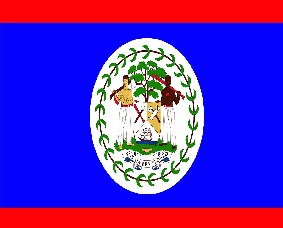 Flag of Belize Digital Art by Artpics - Pixels