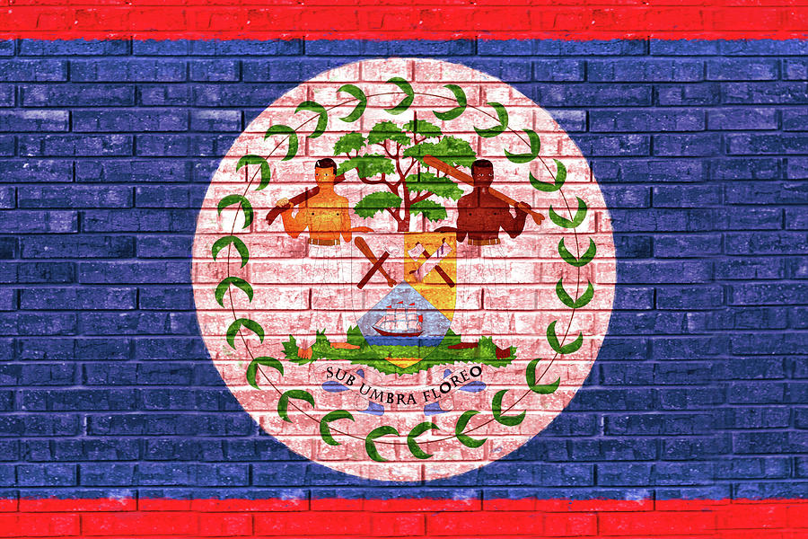Flag of Belize Wall Digital Art by Roy Pedersen