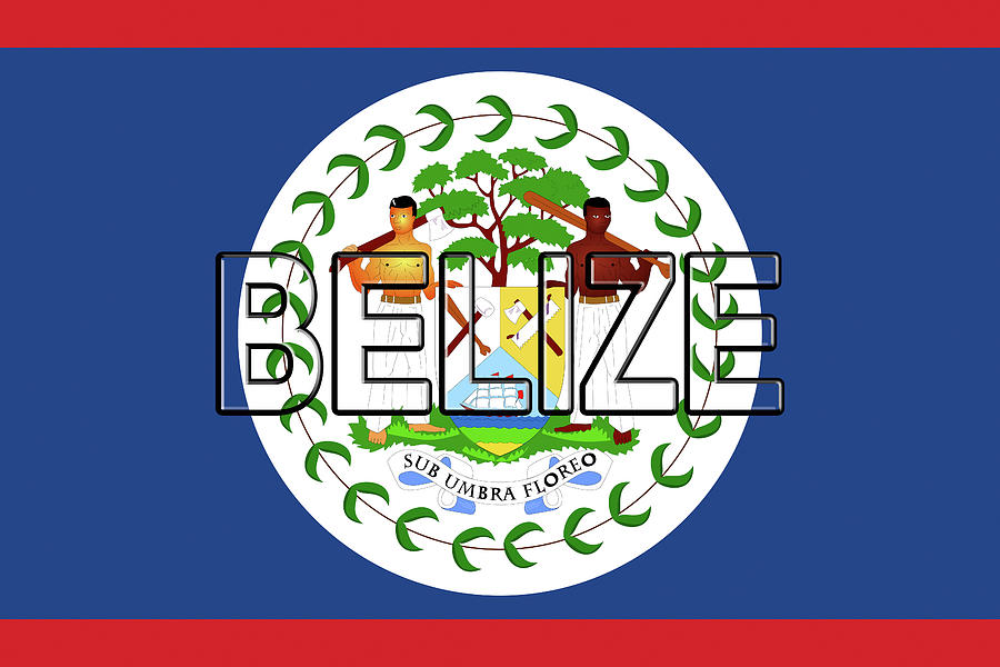 Flag of Belize Word Digital Art by Roy Pedersen