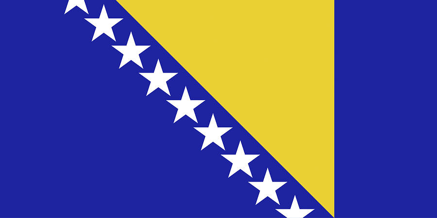  Flag of Bosnia and Herzegovina Digital Art by Roy Pedersen