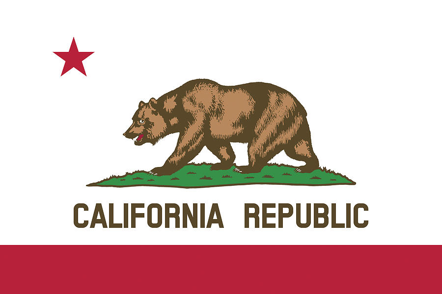 Flag of California Digital Art by Roy Pedersen