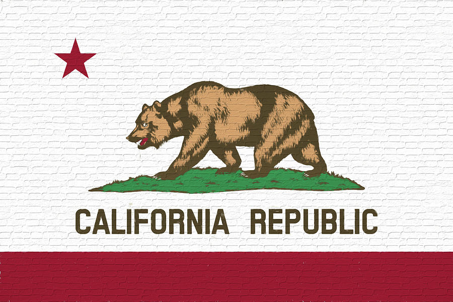 Flag of California Wall Digital Art by Roy Pedersen