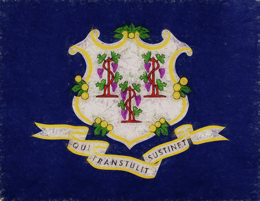 Flag of Connecticut Grunge Digital Art by Roy Pedersen