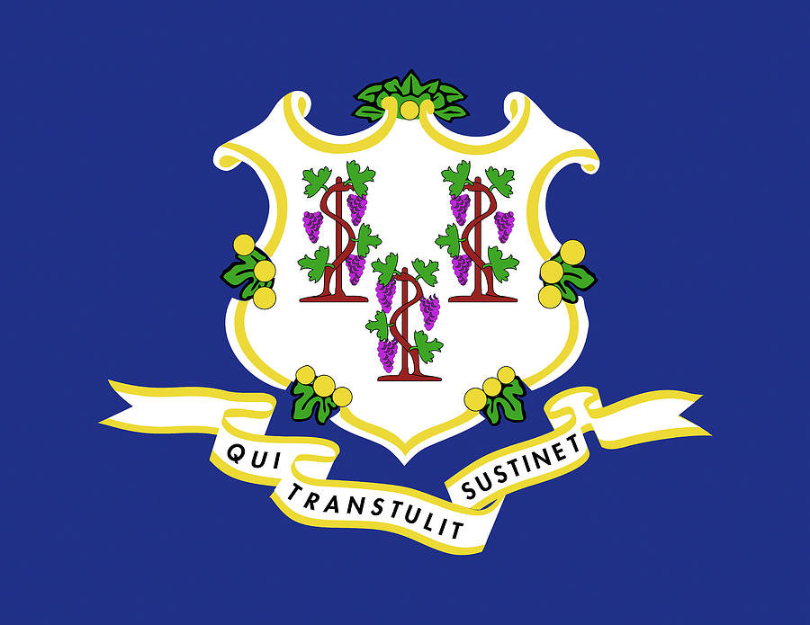 Flag of Connecticut Digital Art by Roy Pedersen