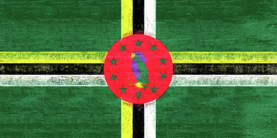 Flag of Dominica Grunge Digital Art by Roy Pedersen
