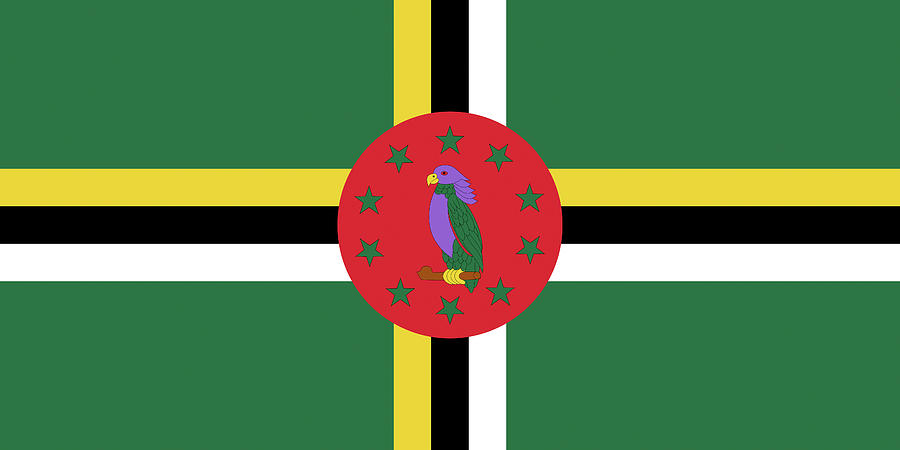 Flag of Dominica  Digital Art by Roy Pedersen