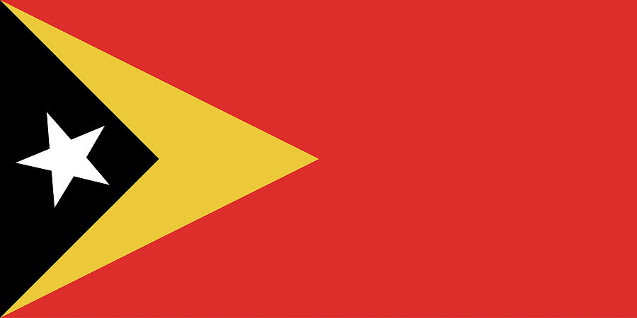 Flag of East Timor  Digital Art by Roy Pedersen