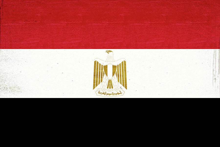 Flag of Egypt Grunge Digital Art by Roy Pedersen