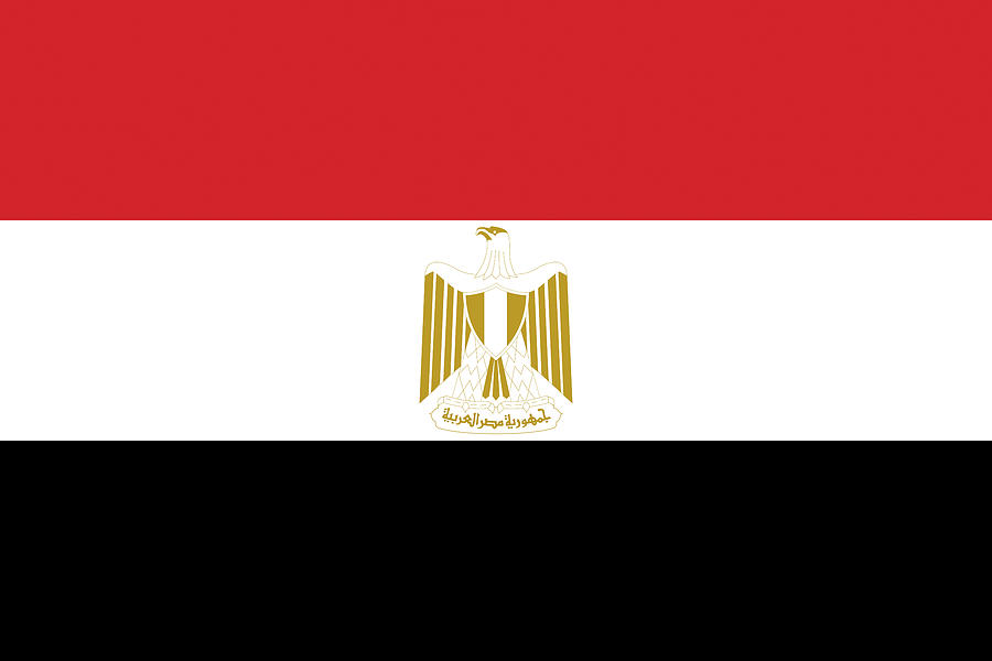 Flag of Egypt Digital Art by Roy Pedersen