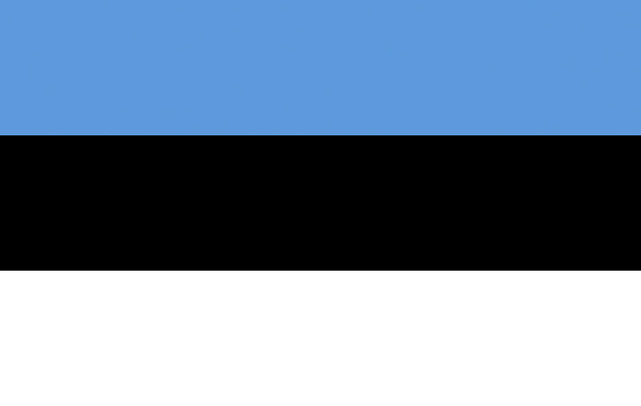 Flag of Estonia Digital Art by Roy Pedersen