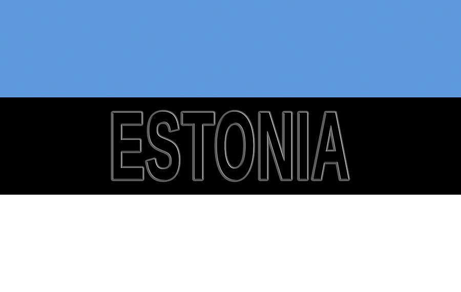 Flag of Estonia Word Digital Art by Roy Pedersen