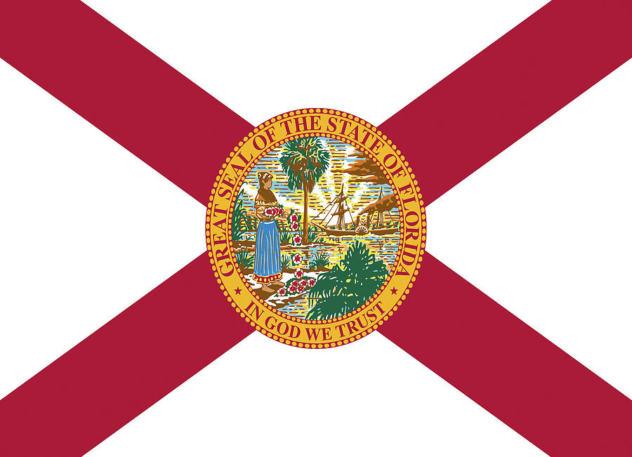 Flag of Florida Digital Art by Roy Pedersen