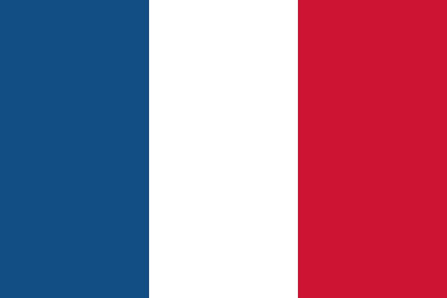 Flag of France Painting by French School