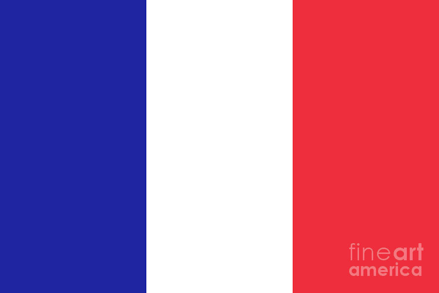 French Flag of France Digital Art by Sterling Gold