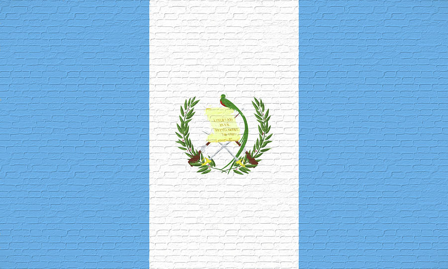 Flag of Guatemala Wall Digital Art by Roy Pedersen