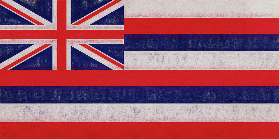 Flag of Hawaii Grunge Digital Art by Roy Pedersen