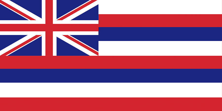 Flag of Hawaii Digital Art by Roy Pedersen