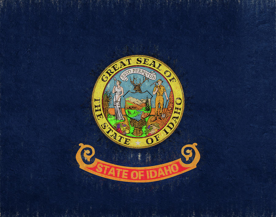 Flag of Idaho Grunge Digital Art by Roy Pedersen