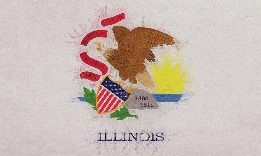 Flag of Illinois Grunge Digital Art by Roy Pedersen