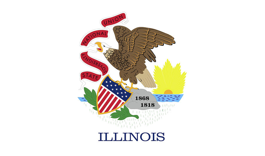 Flag of Illinois  Digital Art by Roy Pedersen