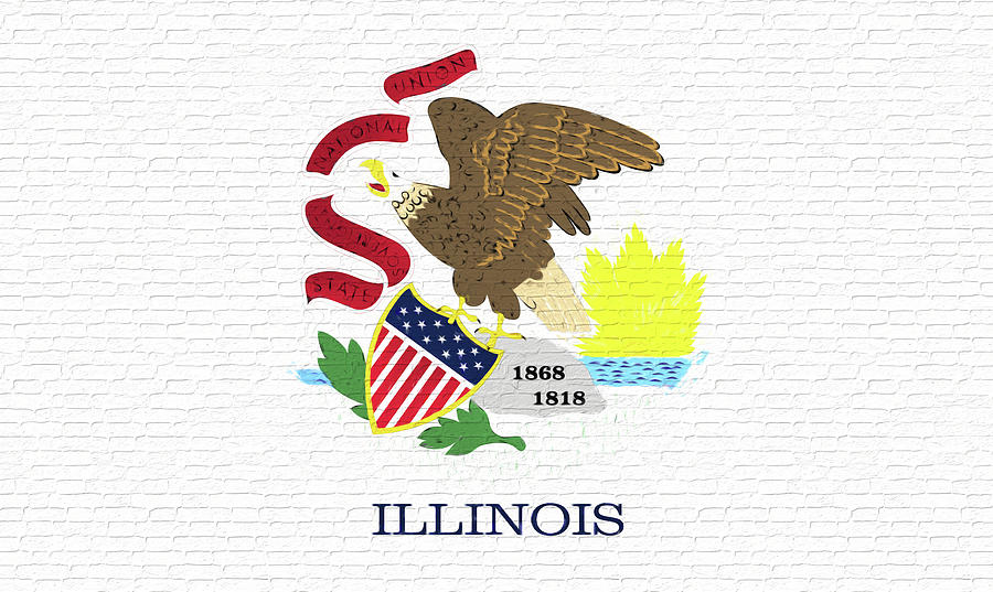 Flag of Illinois Wall Digital Art by Roy Pedersen