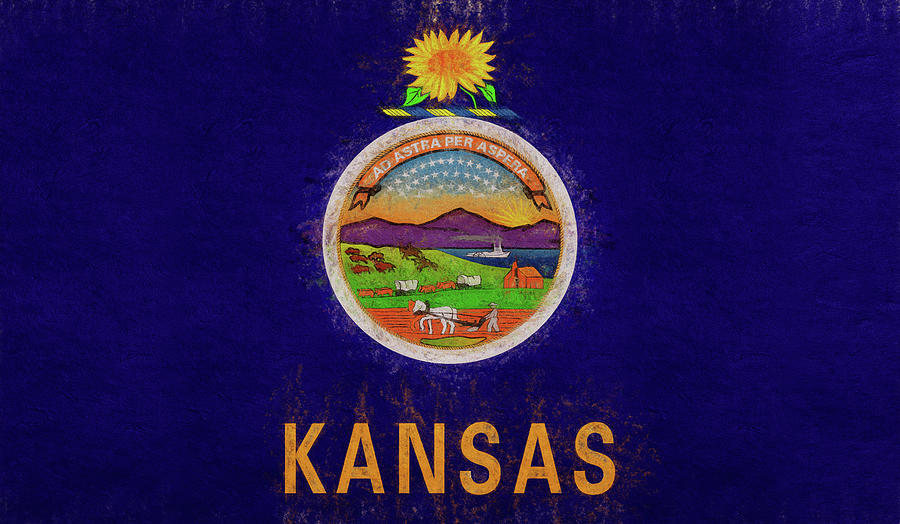 Flag of Kansas Grunge Digital Art by Roy Pedersen
