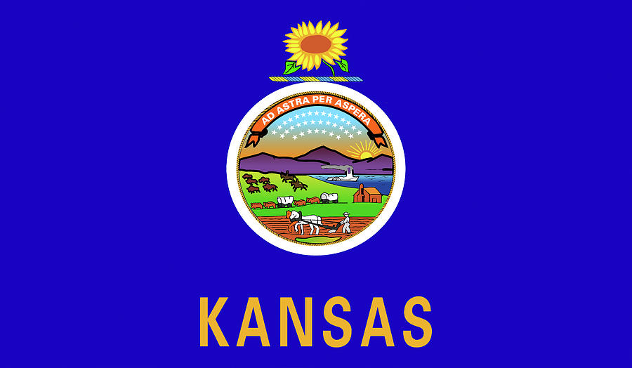 Flag of Kansas Digital Art by Roy Pedersen