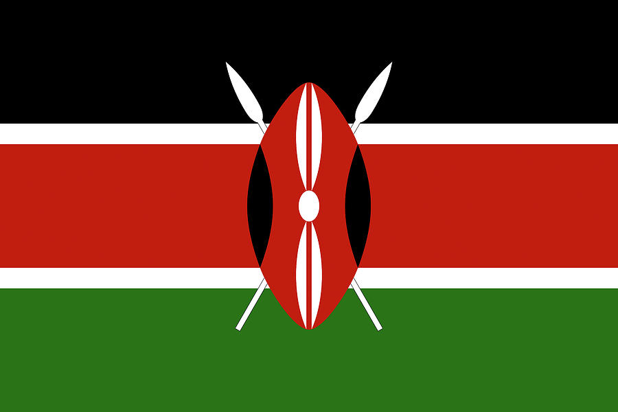 Flag of Kenya Digital Art by Roy Pedersen