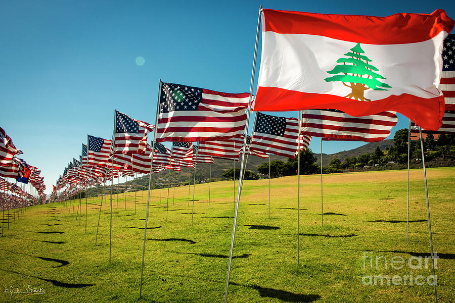 Flag Of Lebanon Photograph