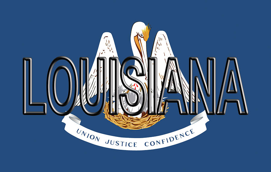 Flag of Louisiana  Word Digital Art by Roy Pedersen