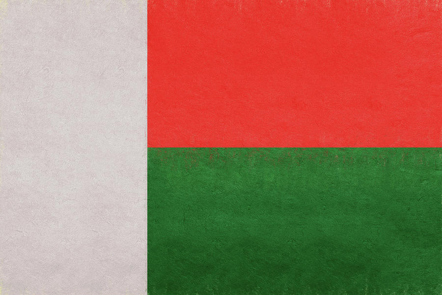 Flag of  Madagascar Grunge. Digital Art by Roy Pedersen