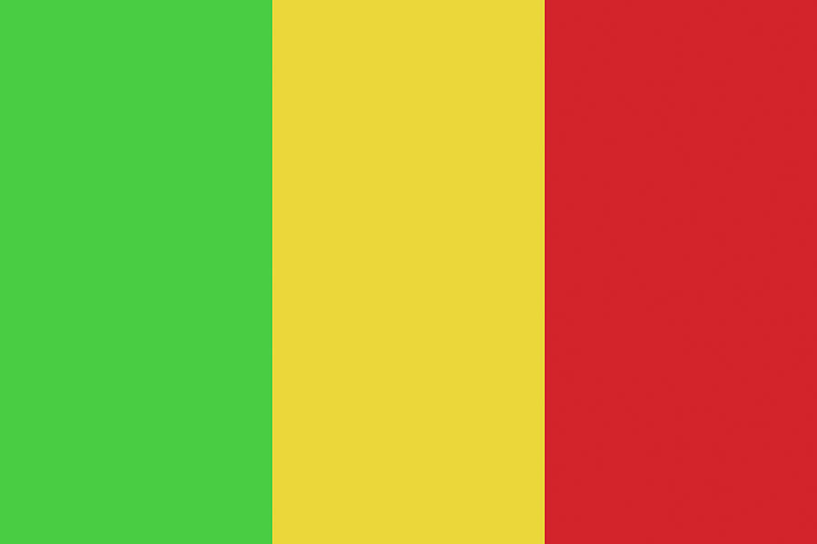 Flag of  Mali Digital Art by Roy Pedersen