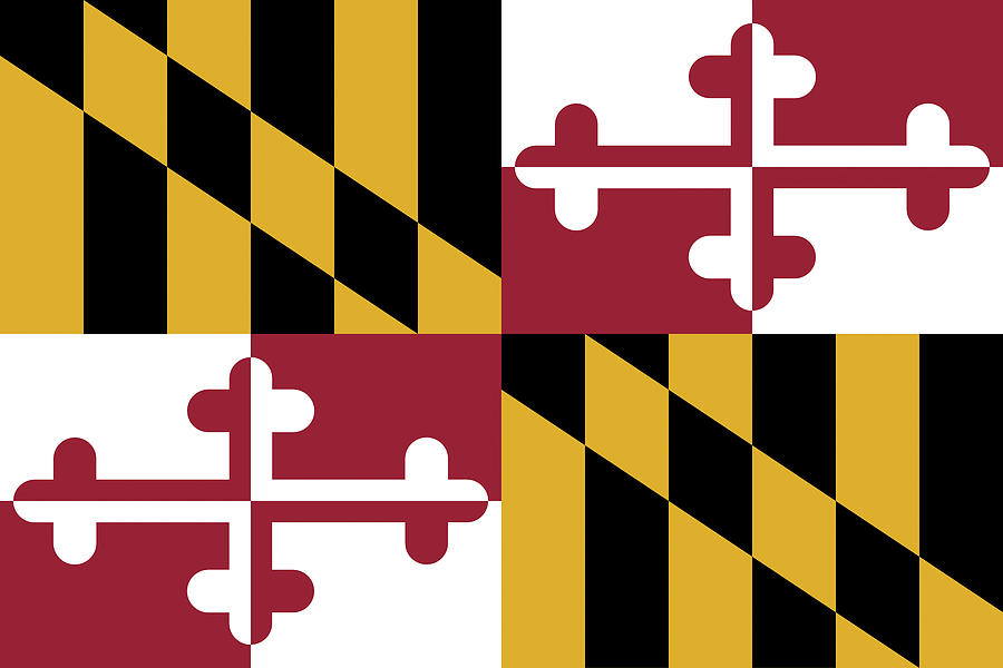 Flag of Maryland Digital Art by Roy Pedersen
