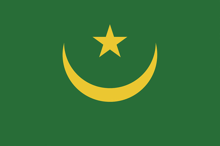 Flag of Mauritania Digital Art by Roy Pedersen