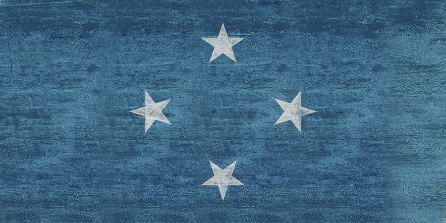 Flag of Micronesia Gunge Digital Art by Roy Pedersen
