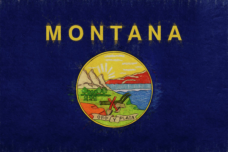 Flag of Montana Grunge Digital Art by Roy Pedersen