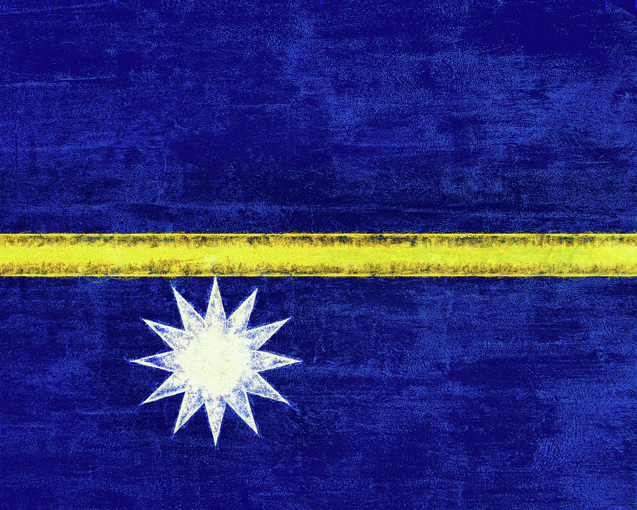 Flag of Nauru Grunge Digital Art by Roy Pedersen