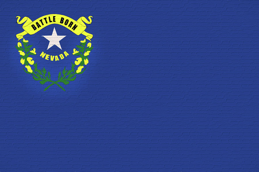 Flag of Nevada Wall Digital Art by Roy Pedersen