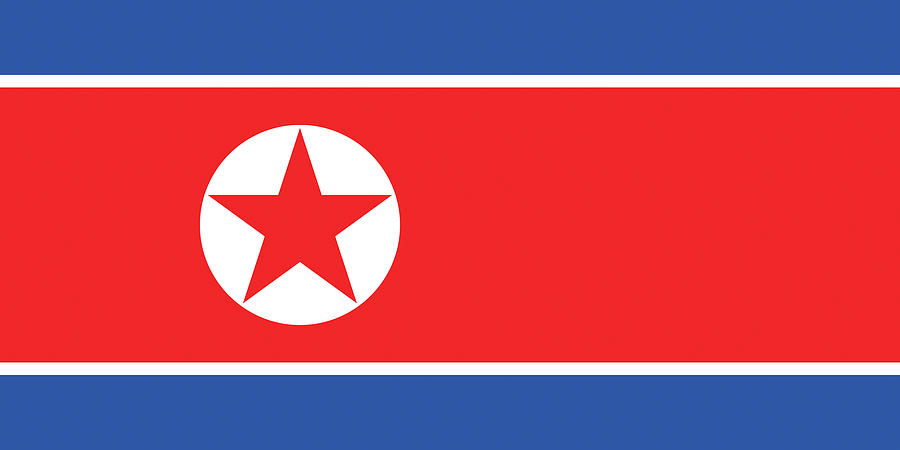 Flag of North Korea. Digital Art by Roy Pedersen