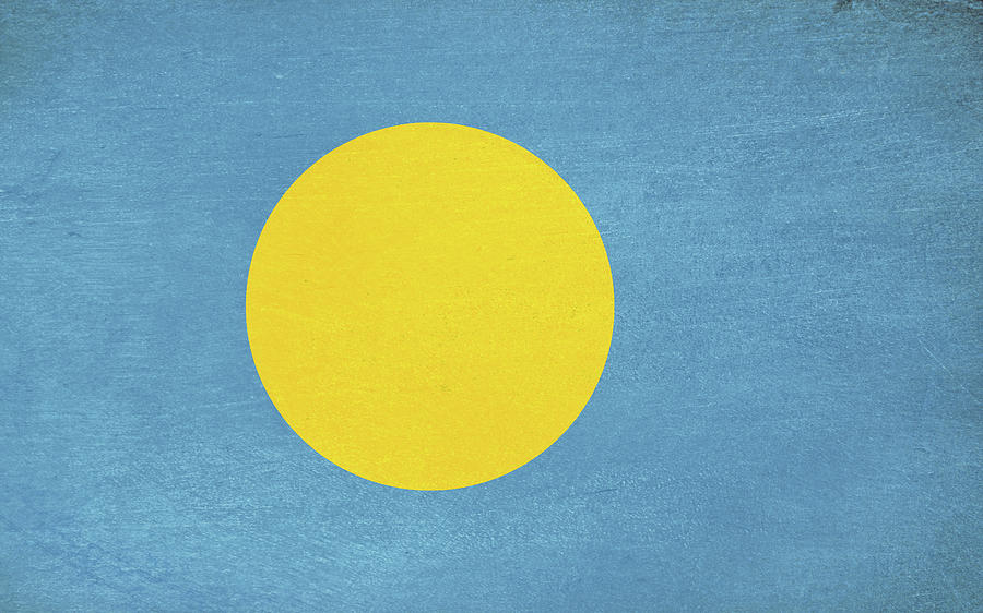 Flag of Palau Grunge Digital Art by Roy Pedersen