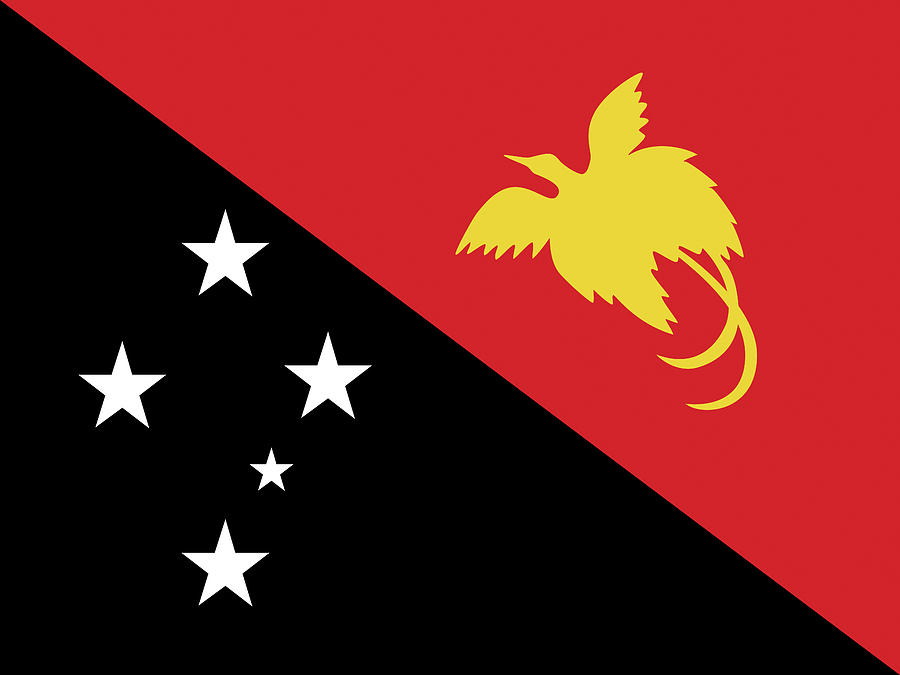 Flag of Papua New Guinea Digital Art by Roy Pedersen